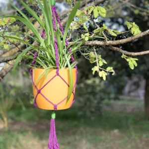 Porte plante orange et violet