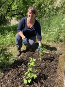 Amandine prend la pose auprès de deux cassissiers juste plantés